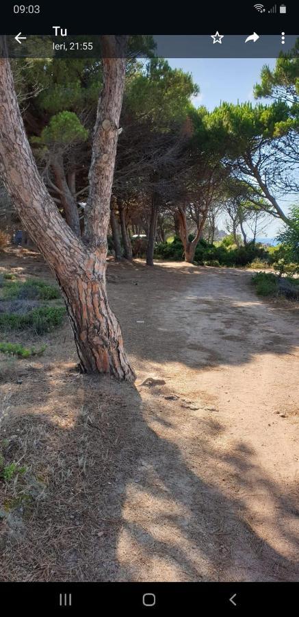 Vacanze In Natura Incontaminata "Casa Vacanza Francesca" Isola Rossa Exterior foto