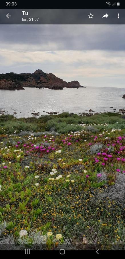 Vacanze In Natura Incontaminata "Casa Vacanza Francesca" Isola Rossa Exterior foto